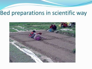 Bed preparations in scientific way

 