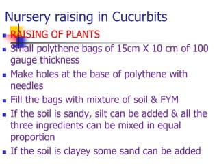 Nursery raising in Cucurbits










RAISING OF PLANTS
Small polythene bags of 15cm X 10 cm of 100
gauge thickness
Make holes at the base of polythene with
needles
Fill the bags with mixture of soil & FYM
If the soil is sandy, silt can be added & all the
three ingredients can be mixed in equal
proportion
If the soil is clayey some sand can be added

 