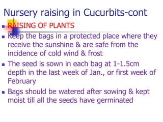 Nursery raising in Cucurbits-cont







RAISING OF PLANTS
Keep the bags in a protected place where they
receive the sunshine & are safe from the
incidence of cold wind & frost
The seed is sown in each bag at 1-1.5cm
depth in the last week of Jan., or first week of
February
Bags should be watered after sowing & kept
moist till all the seeds have germinated

 