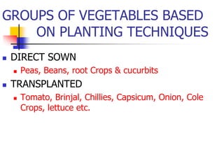 GROUPS OF VEGETABLES BASED
ON PLANTING TECHNIQUES


DIRECT SOWN




Peas, Beans, root Crops & cucurbits

TRANSPLANTED


Tomato, Brinjal, Chillies, Capsicum, Onion, Cole
Crops, lettuce etc.

 