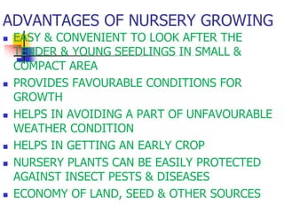 ADVANTAGES OF NURSERY GROWING











EASY & CONVENIENT TO LOOK AFTER THE
TENDER & YOUNG SEEDLINGS IN SMALL &
COMPACT AREA
PROVIDES FAVOURABLE CONDITIONS FOR
GROWTH
HELPS IN AVOIDING A PART OF UNFAVOURABLE
WEATHER CONDITION
HELPS IN GETTING AN EARLY CROP
NURSERY PLANTS CAN BE EASILY PROTECTED
AGAINST INSECT PESTS & DISEASES
ECONOMY OF LAND, SEED & OTHER SOURCES

 