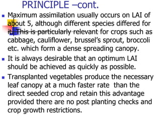 PRINCIPLE –cont.






Maximum assimilation usually occurs on LAI of
about 5, although different species differed for
it. This is particularly relevant for crops such as
cabbage, cauliflower, brussel’s sprout, broccoli
etc. which form a dense spreading canopy.
It is always desirable that an optimum LAI
should be achieved as quickly as possible.
Transplanted vegetables produce the necessary
leaf canopy at a much faster rate than the
direct seeded crop and retain this advantage
provided there are no post planting checks and
crop growth restrictions.

 