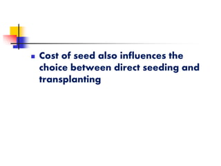 

Cost of seed also influences the
choice between direct seeding and
transplanting

 