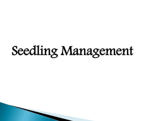 Seedling Management
 
