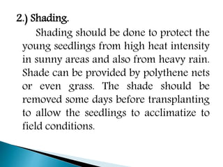 2.) Shading.
Shading should be done to protect the
young seedlings from high heat intensity
in sunny areas and also from heavy rain.
Shade can be provided by polythene nets
or even grass. The shade should be
removed some days before transplanting
to allow the seedlings to acclimatize to
field conditions.
 
