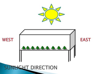 Nursery management and_seedling_production