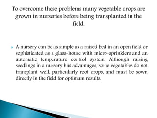  A nursery can be as simple as a raised bed in an open field or
sophisticated as a glass-house with micro-sprinklers and an
automatic temperature control system. Although raising
seedlings in a nursery has advantages, some vegetables do not
transplant well, particularly root crops, and must be sown
directly in the field for optimum results.
 
