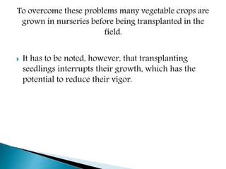  It has to be noted, however, that transplanting
seedlings interrupts their growth, which has the
potential to reduce their vigor.
 
