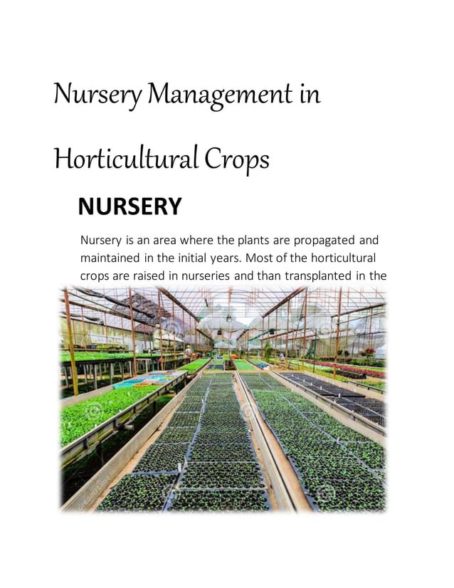 Nursery management in horticultural crops PDF