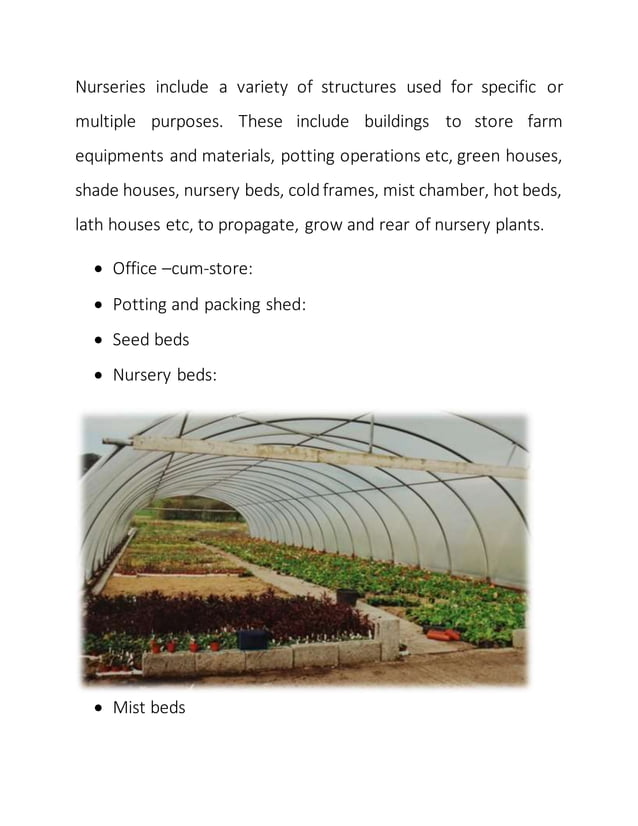 Nursery management in horticultural crops