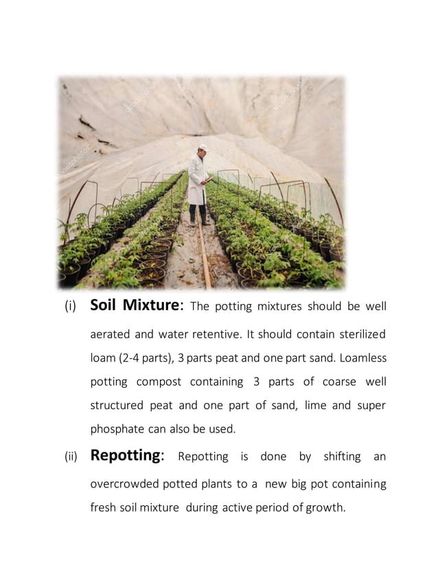 Nursery management in horticultural crops