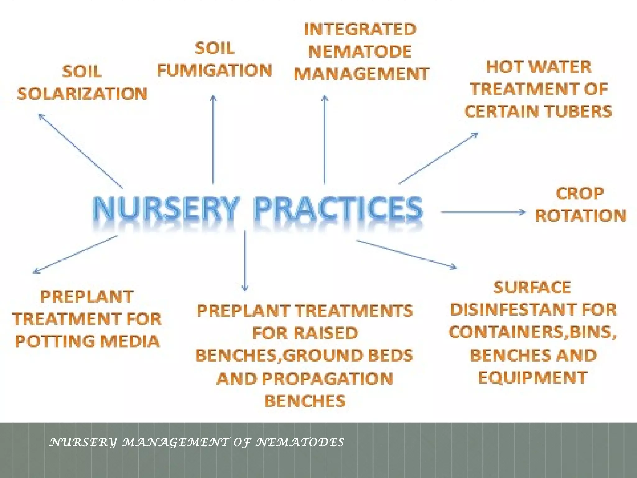 Place logo 
or logotype here, 
otherwise 
delete this. 
NURSERY MANAGEMENT OF NEMATODES 
 