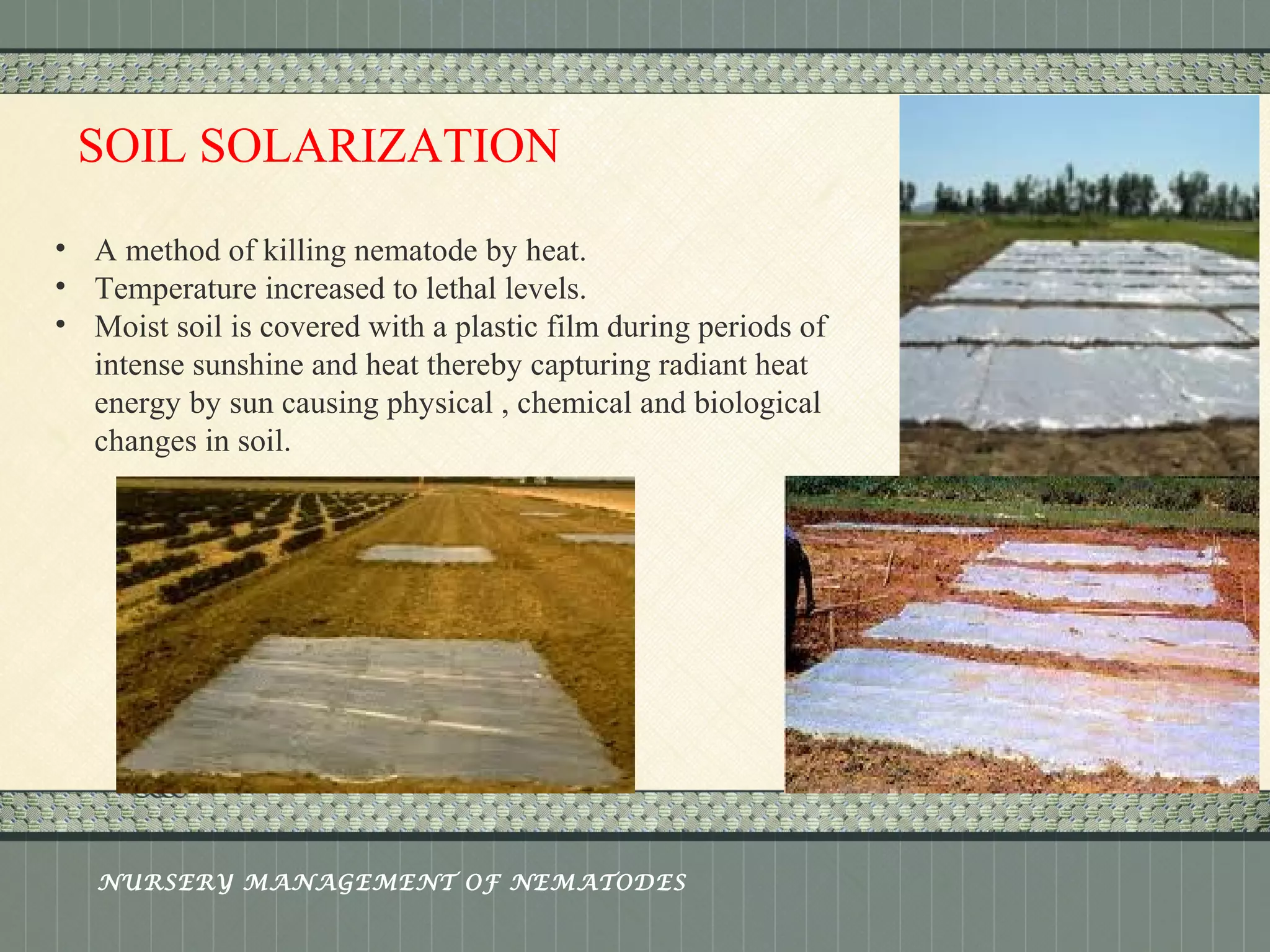 Place logo 
or logotype here, 
otherwise 
delete this. 
SOIL SOLARIZATION 
• A method of killing nematode by heat. 
• Temperature increased to lethal levels. 
• Moist soil is covered with a plastic film during periods of 
intense sunshine and heat thereby capturing radiant heat 
energy by sun causing physical , chemical and biological 
changes in soil. 
NURSERY MANAGEMENT OF NEMATODES 
 
