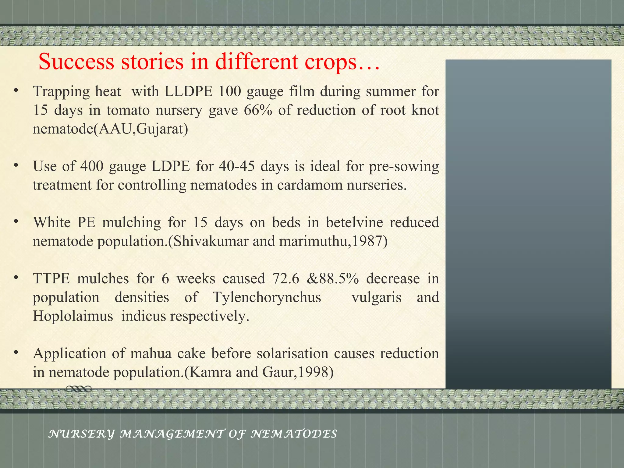 Place logo 
or logotype here, 
otherwise 
delete this. 
Success stories in different crops… 
• Trapping heat with LLDPE 100 gauge film during summer for 
15 days in tomato nursery gave 66% of reduction of root knot 
nematode(AAU,Gujarat) 
• Use of 400 gauge LDPE for 40-45 days is ideal for pre-sowing 
treatment for controlling nematodes in cardamom nurseries. 
• White PE mulching for 15 days on beds in betelvine reduced 
nematode population.(Shivakumar and marimuthu,1987) 
• TTPE mulches for 6 weeks caused 72.6 &88.5% decrease in 
population densities of Tylenchorynchus vulgaris and 
Hoplolaimus indicus respectively. 
• Application of mahua cake before solarisation causes reduction 
in nematode population.(Kamra and Gaur,1998) 
NURSERY MANAGEMENT OF NEMATODES 
 