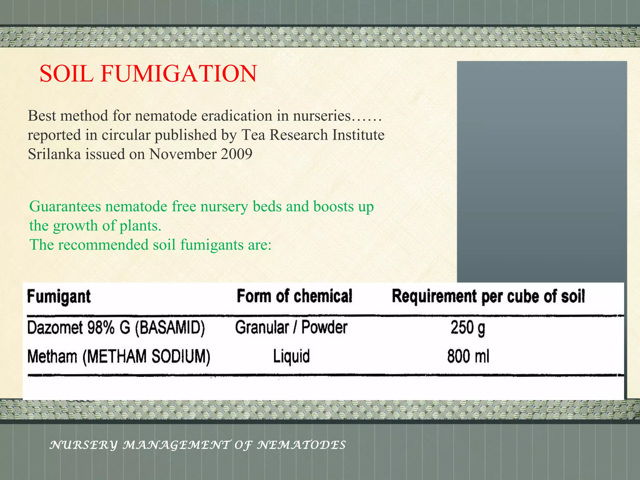 Place logo 
or logotype here, 
otherwise 
delete this. 
SOIL FUMIGATION 
Best method for nematode eradication in nurseries…… 
reported in circular published by Tea Research Institute 
Srilanka issued on November 2009 
Guarantees nematode free nursery beds and boosts up 
the growth of plants. 
The recommended soil fumigants are: 
NURSERY MANAGEMENT OF NEMATODES 
 