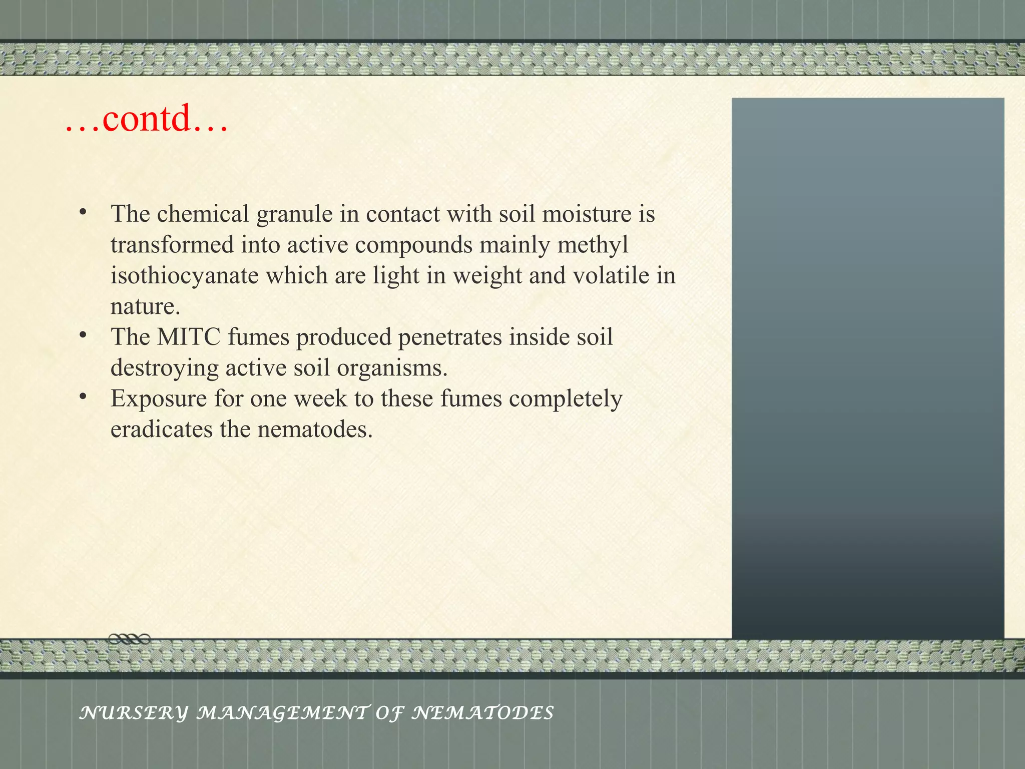 Place logo 
or logotype here, 
otherwise 
delete this. 
…contd… 
• The chemical granule in contact with soil moisture is 
transformed into active compounds mainly methyl 
isothiocyanate which are light in weight and volatile in 
nature. 
• The MITC fumes produced penetrates inside soil 
destroying active soil organisms. 
• Exposure for one week to these fumes completely 
eradicates the nematodes. 
NURSERY MANAGEMENT OF NEMATODES 
 