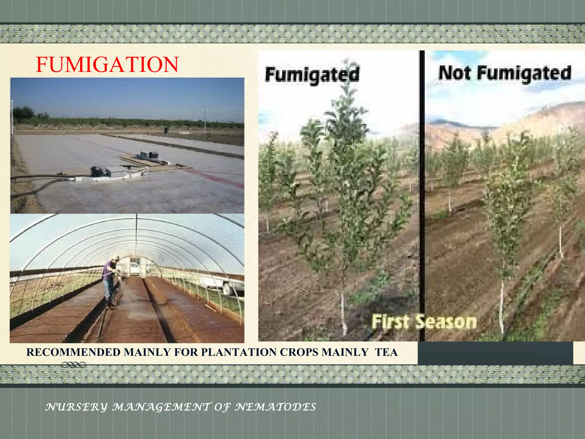 Place logo 
or logotype here, 
otherwise 
delete this. 
FUMIGATION 
RECOMMENDED MAINLY FOR PLANTATION CROPS MAINLY TEA 
NURSERY MANAGEMENT OF NEMATODES 
 