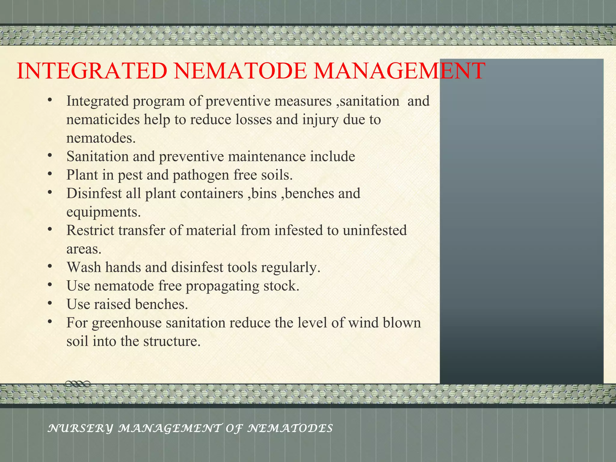 Place logo 
or logotype here, 
otherwise 
delete this. 
INTEGRATED NEMATODE MANAGEMENT 
• Integrated program of preventive measures ,sanitation and 
nematicides help to reduce losses and injury due to 
nematodes. 
• Sanitation and preventive maintenance include 
• Plant in pest and pathogen free soils. 
• Disinfest all plant containers ,bins ,benches and 
equipments. 
• Restrict transfer of material from infested to uninfested 
areas. 
• Wash hands and disinfest tools regularly. 
• Use nematode free propagating stock. 
• Use raised benches. 
• For greenhouse sanitation reduce the level of wind blown 
soil into the structure. 
NURSERY MANAGEMENT OF NEMATODES 
 