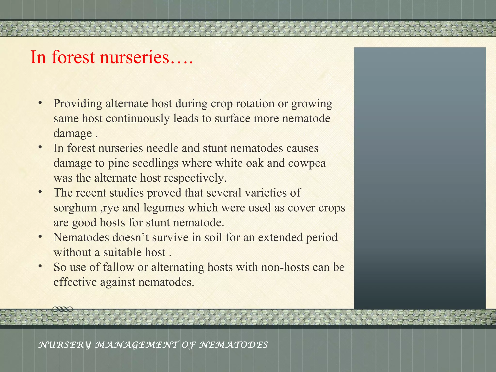 Place logo 
or logotype here, 
otherwise 
delete this. 
In forest nurseries…. 
• Providing alternate host during crop rotation or growing 
same host continuously leads to surface more nematode 
damage . 
• In forest nurseries needle and stunt nematodes causes 
damage to pine seedlings where white oak and cowpea 
was the alternate host respectively. 
• The recent studies proved that several varieties of 
sorghum ,rye and legumes which were used as cover crops 
are good hosts for stunt nematode. 
• Nematodes doesn’t survive in soil for an extended period 
without a suitable host . 
• So use of fallow or alternating hosts with non-hosts can be 
effective against nematodes. 
NURSERY MANAGEMENT OF NEMATODES 
 