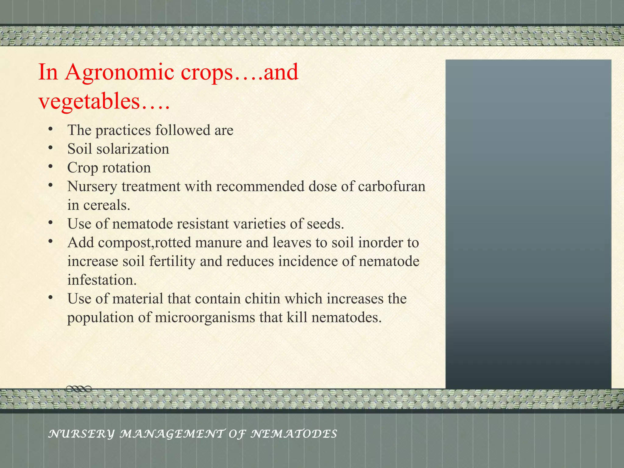 Place logo 
or logotype here, 
otherwise 
delete this. 
In Agronomic crops….and 
vegetables…. 
• The practices followed are 
• Soil solarization 
• Crop rotation 
• Nursery treatment with recommended dose of carbofuran 
in cereals. 
• Use of nematode resistant varieties of seeds. 
• Add compost,rotted manure and leaves to soil inorder to 
increase soil fertility and reduces incidence of nematode 
infestation. 
• Use of material that contain chitin which increases the 
population of microorganisms that kill nematodes. 
NURSERY MANAGEMENT OF NEMATODES 
 