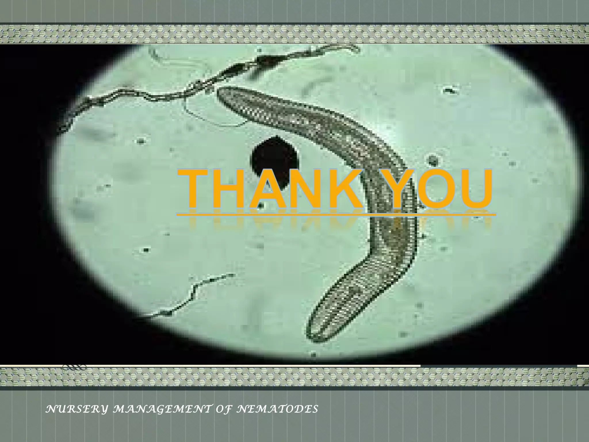 Place logo 
or logotype here, 
otherwise 
delete this. 
NURSERY MANAGEMENT OF NEMATODES 

