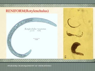 Nursery management of nematodes | PPT