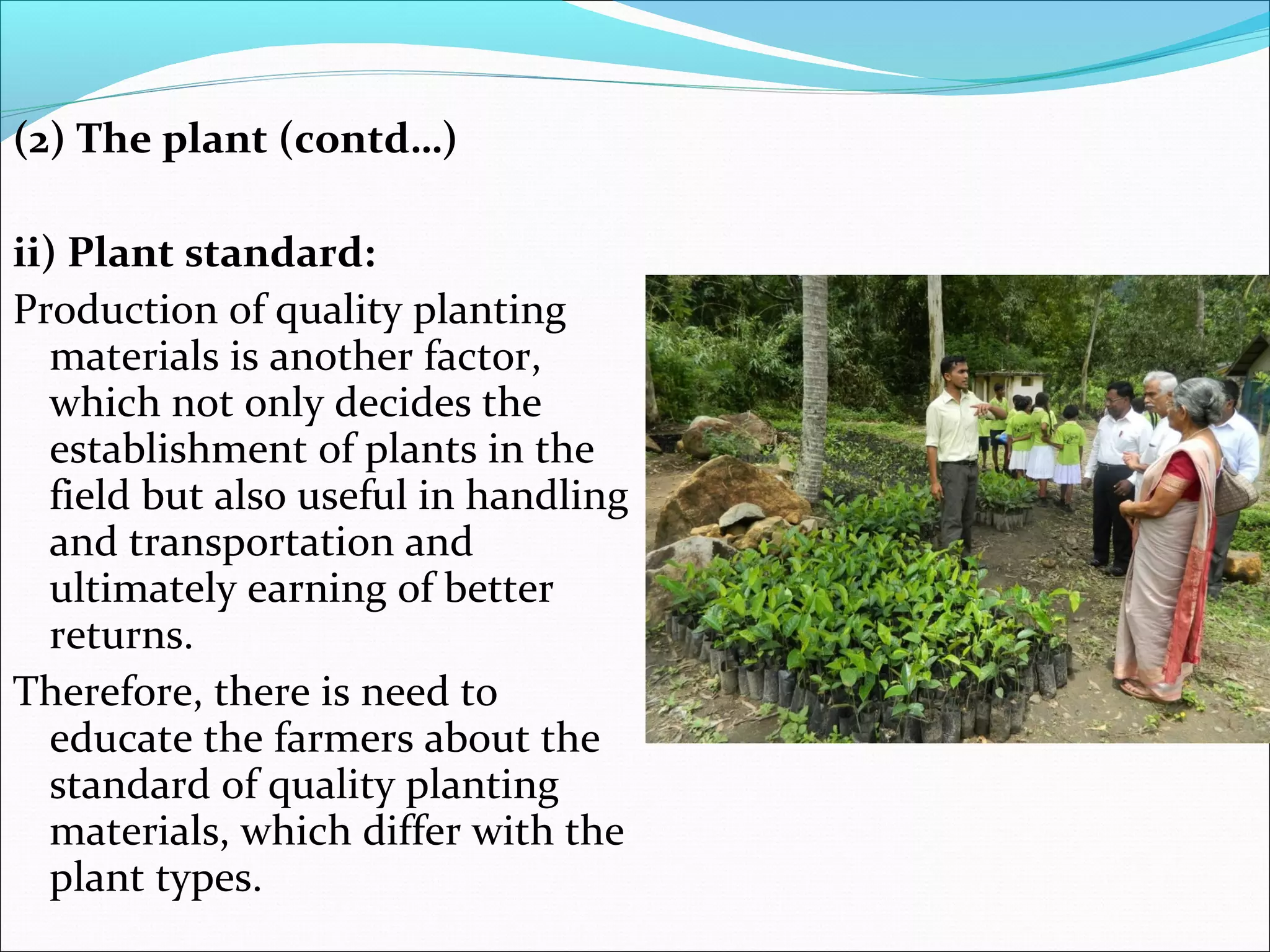 (2) The plant (contd…)
ii) Plant standard:
Production of quality planting 
materials is another factor, 
which not only decides the 
establishment of plants in the 
field but also useful in handling 
and transportation and 
ultimately earning of better 
returns. 
Therefore, there is need to 
educate the farmers about the 
standard of quality planting 
materials, which differ with the 
plant types. 
 