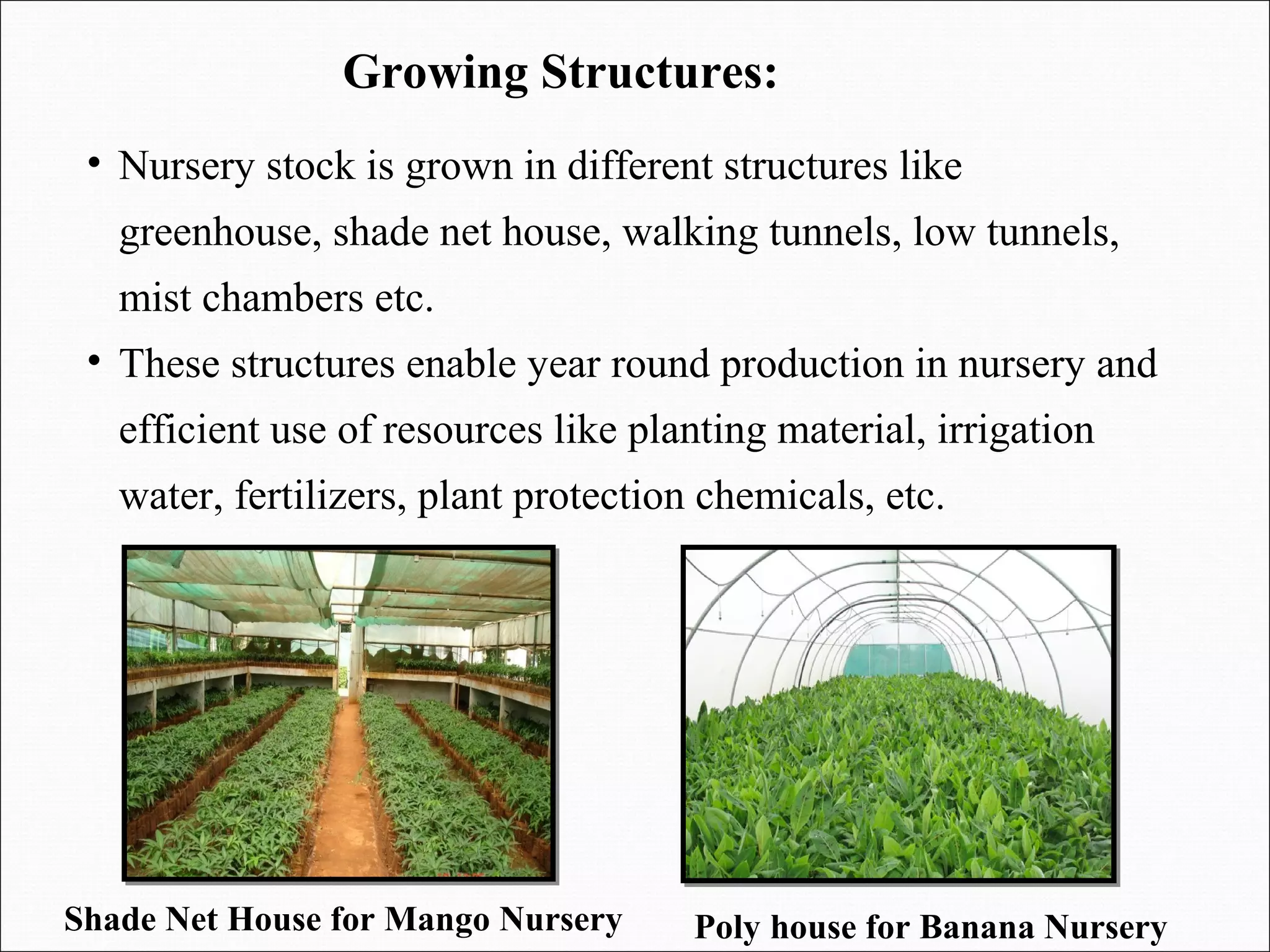 • Nursery stock is grown in different structures like
greenhouse, shade net house, walking tunnels, low tunnels,
mist chambers etc.
• These structures enable year round production in nursery and
efficient use of resources like planting material, irrigation
water, fertilizers, plant protection chemicals, etc.
Growing Structures:
Poly house for Banana NurseryShade Net House for Mango Nursery
 