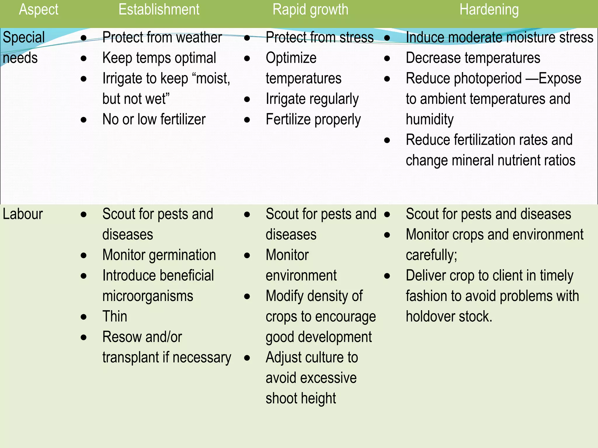 Aspect Establishment Rapid growth Hardening
Special
needs
• Protect from weather
• Keep temps optimal
• Irrigate to keep “moist,
but not wet”
• No or low fertilizer
• Protect from stress
• Optimize
temperatures
• Irrigate regularly
• Fertilize properly
• Induce moderate moisture stress
• Decrease temperatures
• Reduce photoperiod —Expose
to ambient temperatures and
humidity
• Reduce fertilization rates and
change mineral nutrient ratios
Labour • Scout for pests and
diseases
• Monitor germination
• Introduce beneficial
microorganisms
• Thin
• Resow and/or
transplant if necessary
• Scout for pests and
diseases
• Monitor
environment
• Modify density of
crops to encourage
good development
• Adjust culture to
avoid excessive
shoot height
• Scout for pests and diseases
• Monitor crops and environment
carefully;
• Deliver crop to client in timely
fashion to avoid problems with
holdover stock.
 
