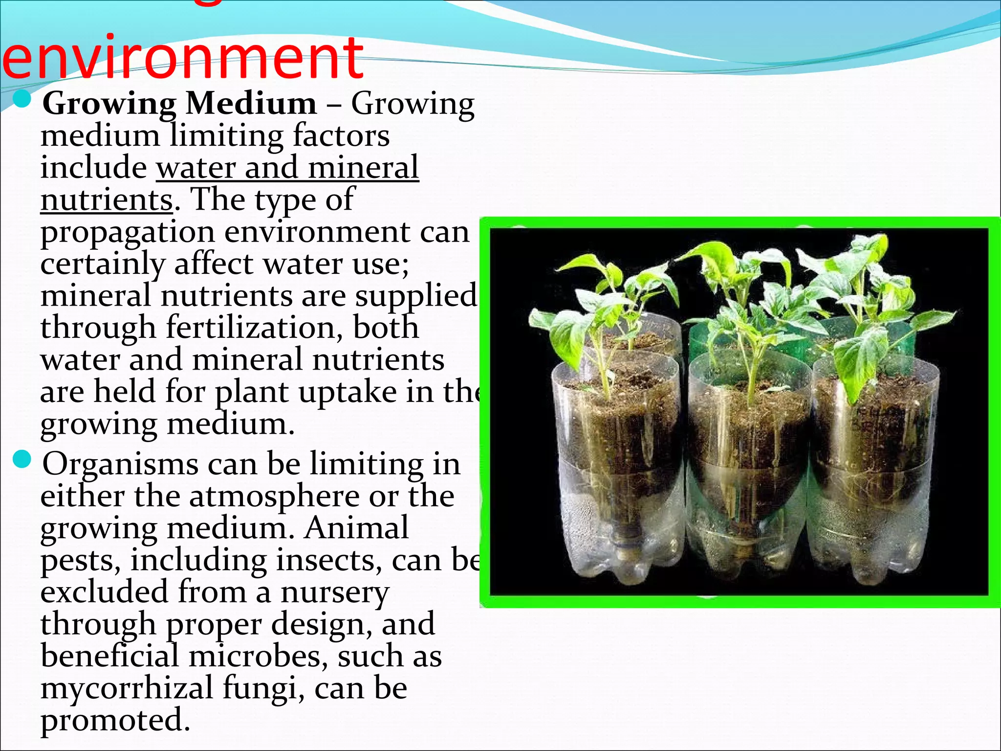 Growing Medium – Growing
medium limiting factors
include water and mineral
nutrients. The type of
propagation environment can
certainly affect water use;
mineral nutrients are supplied
through fertilization, both
water and mineral nutrients
are held for plant uptake in the
growing medium.
Organisms can be limiting in
either the atmosphere or the
growing medium. Animal
pests, including insects, can be
excluded from a nursery
through proper design, and
beneficial microbes, such as
mycorrhizal fungi, can be
promoted.
environment
 