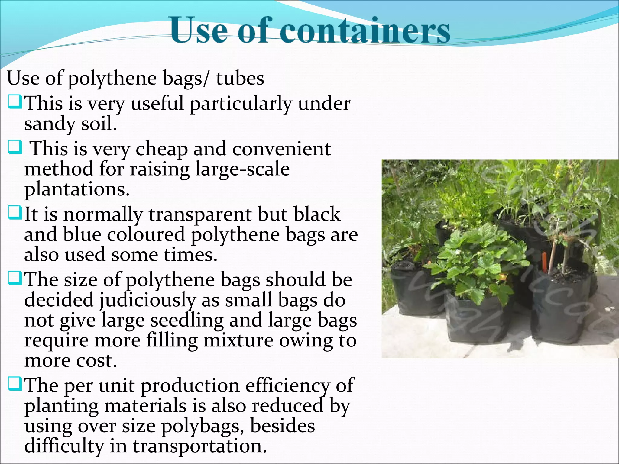 Use of polythene bags/ tubes
This is very useful particularly under
sandy soil.
 This is very cheap and convenient
method for raising large-scale
plantations.
It is normally transparent but black
and blue coloured polythene bags are
also used some times.
The size of polythene bags should be
decided judiciously as small bags do
not give large seedling and large bags
require more filling mixture owing to
more cost.
The per unit production efficiency of
planting materials is also reduced by
using over size polybags, besides
difficulty in transportation.
 