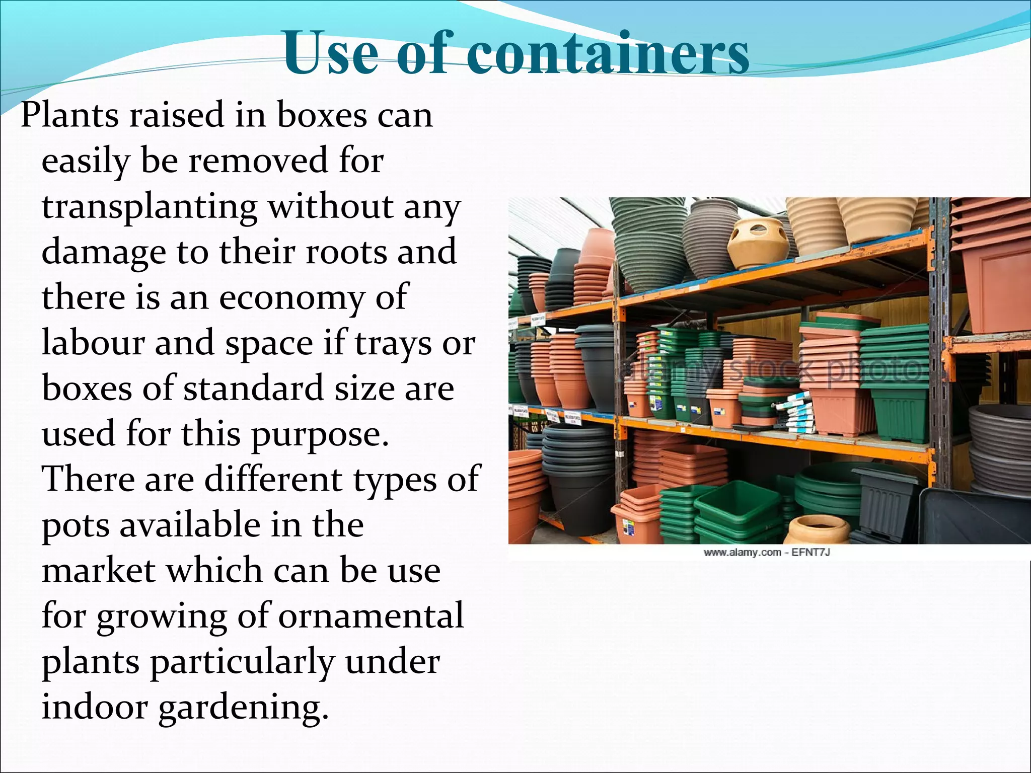Plants raised in boxes can
easily be removed for
transplanting without any
damage to their roots and
there is an economy of
labour and space if trays or
boxes of standard size are
used for this purpose.
There are different types of
pots available in the
market which can be use
for growing of ornamental
plants particularly under
indoor gardening.
Use of containers
 