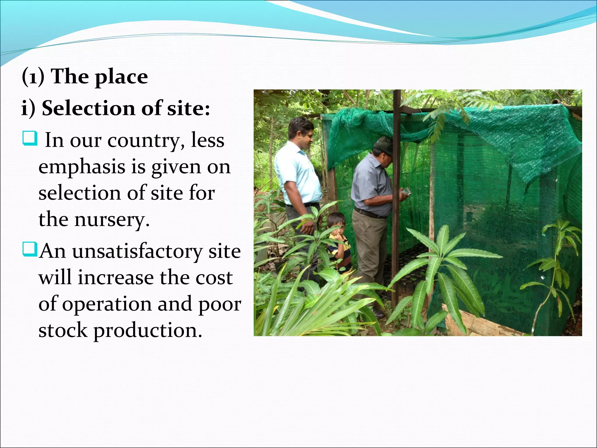 (1) The place
i) Selection of site:
 In our country, less 
emphasis is given on 
selection of site for 
the nursery. 
An unsatisfactory site 
will increase the cost 
of operation and poor 
stock production. 
 