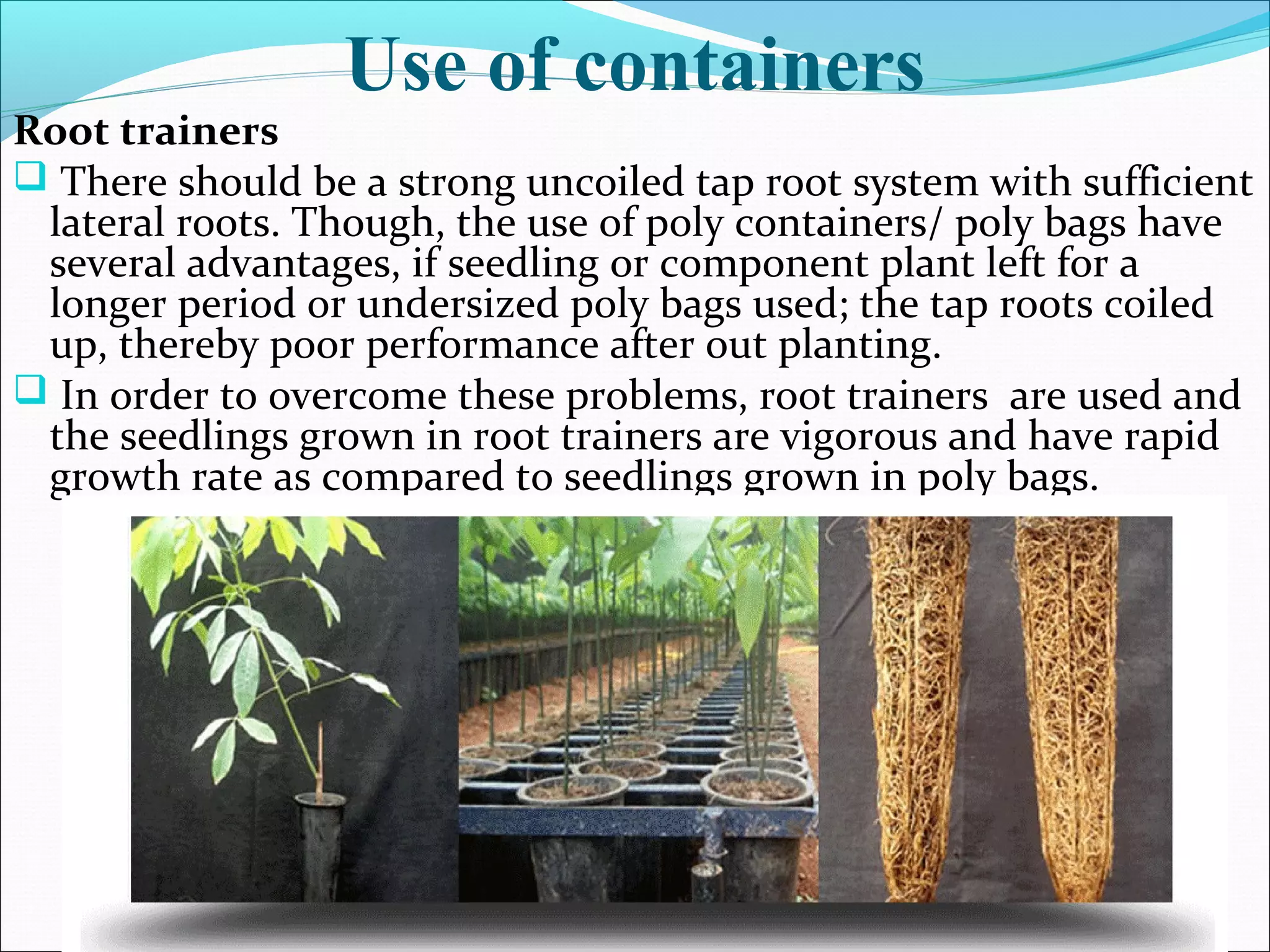 Root trainers
 There should be a strong uncoiled tap root system with sufficient
lateral roots. Though, the use of poly containers/ poly bags have
several advantages, if seedling or component plant left for a
longer period or undersized poly bags used; the tap roots coiled
up, thereby poor performance after out planting.
 In order to overcome these problems, root trainers are used and
the seedlings grown in root trainers are vigorous and have rapid
growth rate as compared to seedlings grown in poly bags.
Use of containers
 