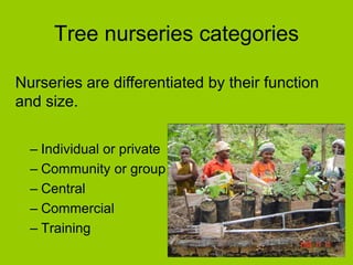 Tree nurseries categories
– Individual or private
– Community or group
– Central
– Commercial
– Training
Nurseries are differentiated by their function
and size.
 
