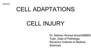 CELL ADAPTATIONS
CELL INJURY
Dr. Salman Ahmad Ansari(MBBS)
Tutor, Dept of Pathology
Kanachur Institute of Medical
Sciences
06/05/23
 