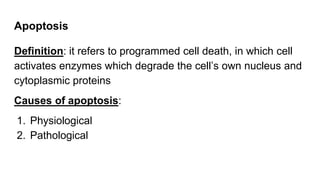 Apoptosis Definition Cell adaptations, Cell injury, Necrosis, Apoptosis - Pathology ...