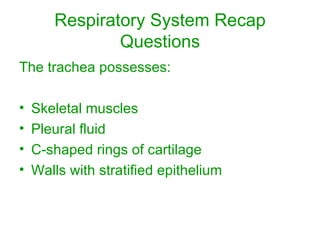 Respiratory System Recap Questions The trachea possesses: Skeletal muscles Pleural fluid C-shaped rings of cartilage Walls with stratified epithelium 