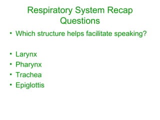 Respiratory System Recap Questions Which structure helps facilitate speaking? Larynx Pharynx Trachea Epiglottis 