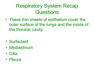 Respiratory System Recap Questions These thin sheets of epithelium cover the outer surface of the lungs and the inside of the thoracic cavity: Surfactant Mediastinum Cilia Pleura 