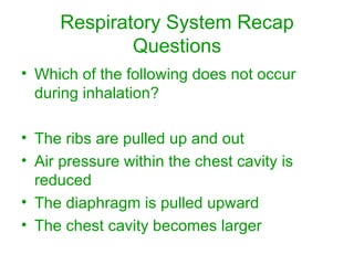 Respiratory System Recap Questions Which of the following does not occur during inhalation? The ribs are pulled up and out Air pressure within the chest cavity is reduced The diaphragm is pulled upward The chest cavity becomes larger 