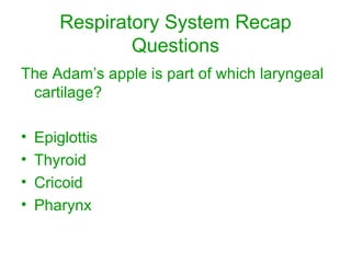 Respiratory System Recap Questions The Adam’s apple is part of which laryngeal cartilage? Epiglottis Thyroid Cricoid Pharynx 