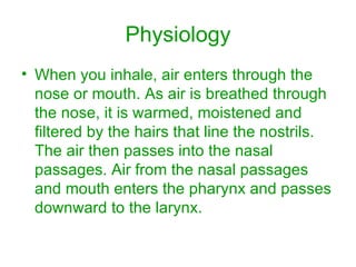 Physiology When you inhale, air enters through the nose or mouth. As air is breathed through the nose, it is warmed, moistened and filtered by the hairs that line the nostrils. The air then passes into the nasal passages. Air from the nasal passages and mouth enters the pharynx and passes downward to the larynx.  