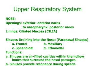 Upper Respiratory System NOSE: Openings: exterior: anterior nares   to nasopharynx: posterior nares Linings: Ciliated Mucosa (CILIA) Sinuses Draining into the Nose: (Paranasal Sinuses) a. Frontal  b. Maxillary c. Sphenoidal d. Ethmoidal Functions:  a. Sinuses are air-filled cavities within the hollow bones that surround the nasal passages. b. Sinuses provide resonance during speech. 