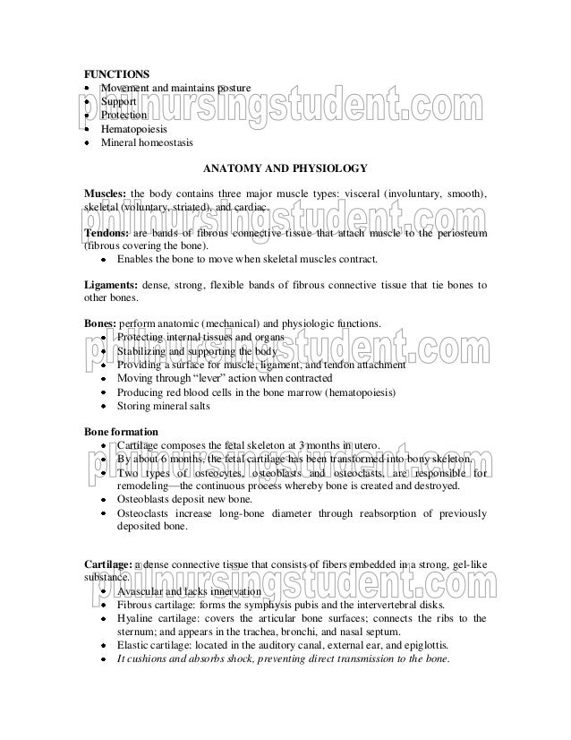 Nursing Case Study Musculoskeletal Philnursingstudent Philnursingstud