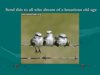 Send this to all who dream of a luxurious old age 