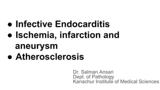 ● Infective Endocarditis
● Ischemia, infarction and
aneurysm
● Atherosclerosis
Dr. Salman Ansari
Dept. of Pathology
Kanachur Institute of Medical Sciences
 