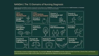Nursing-Process-and-NANDA-Care-Plans.pptx