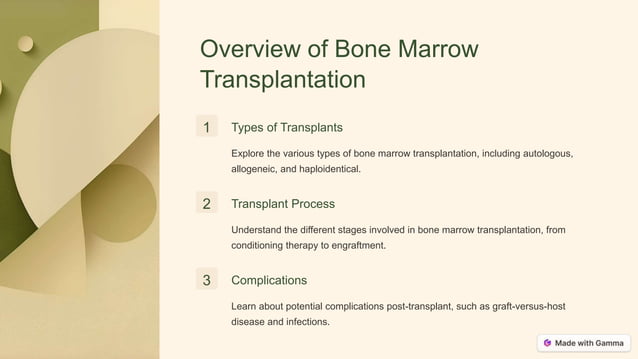 Bone Health and Social Responsibility: A Comprehensive Overview