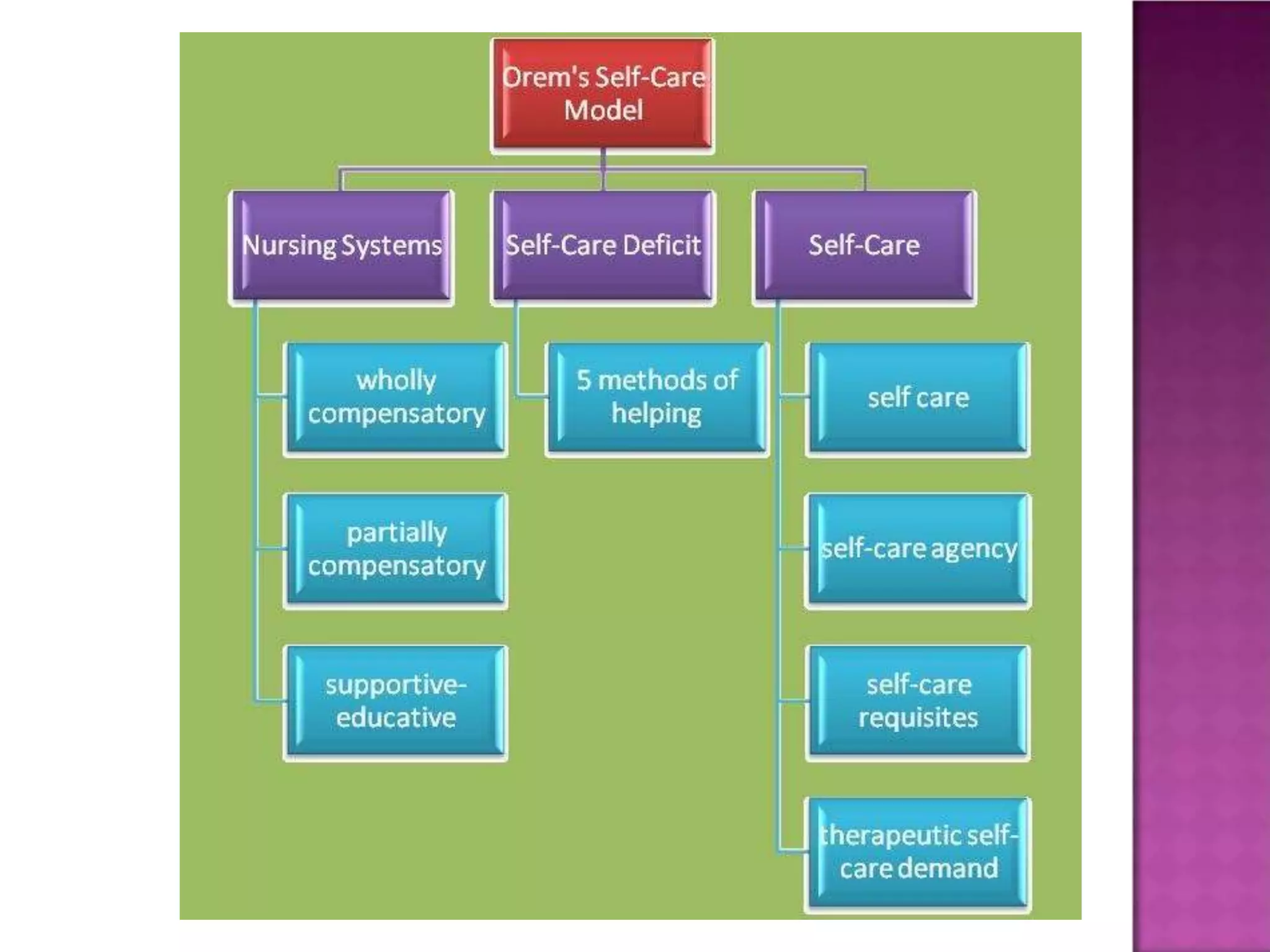 Dynamic Caring Model nursing-theories-.pptx